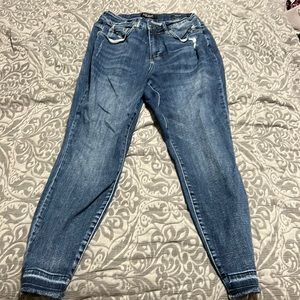 Size 14 W Skinny Fit Judy Blue Jeans